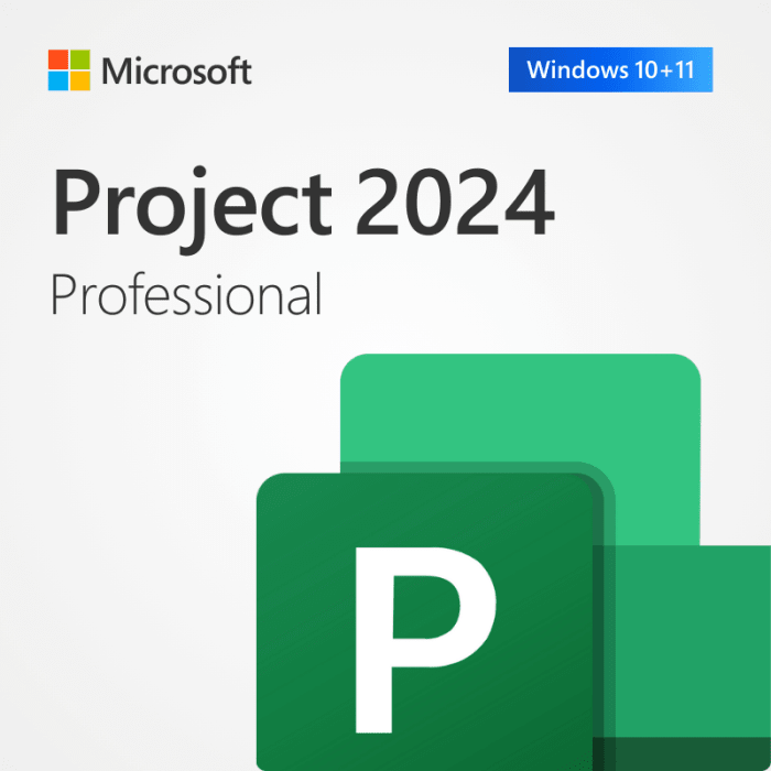 Microsoft Project 2024 Profesional ESD EP2-07001