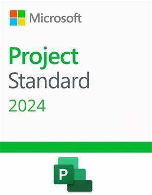 Microsoft Project Standard 2024 EP2-07057